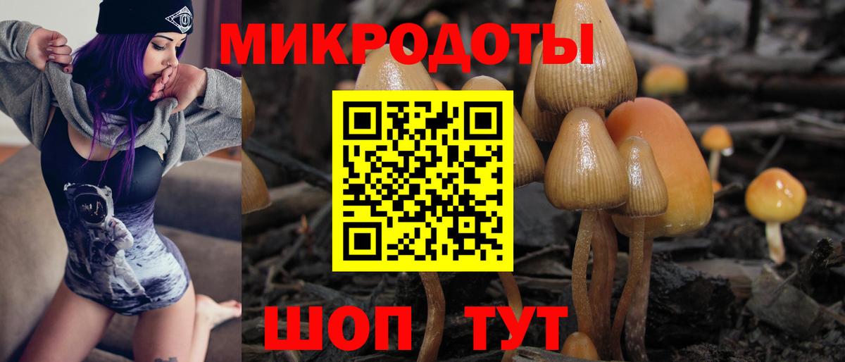Сергиев Посад  Галлюциногенные грибы MAGIC MUSHROOMS  Псилоцибиновые грибы мицелий  Вход с VPN 